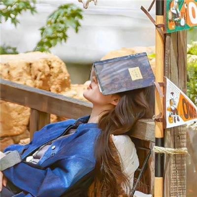 美女总裁的战帝保镖