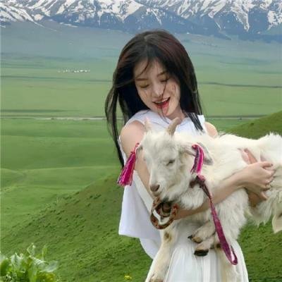 鱿鱼仔的乡土生活第一季